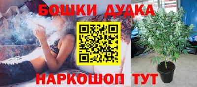 марки nbome Новозыбков