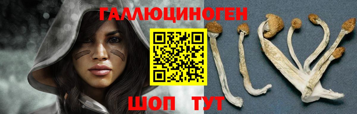 Псилоцибиновые грибы ЛСД Пугачёв