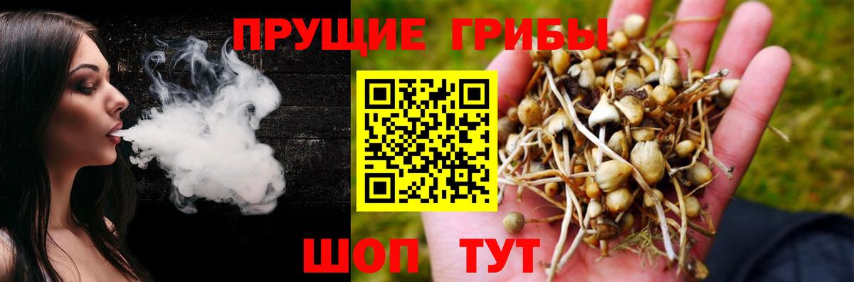 Галлюциногенные грибы MAGIC MUSHROOMS  Вход с VPN  Пугачёв 